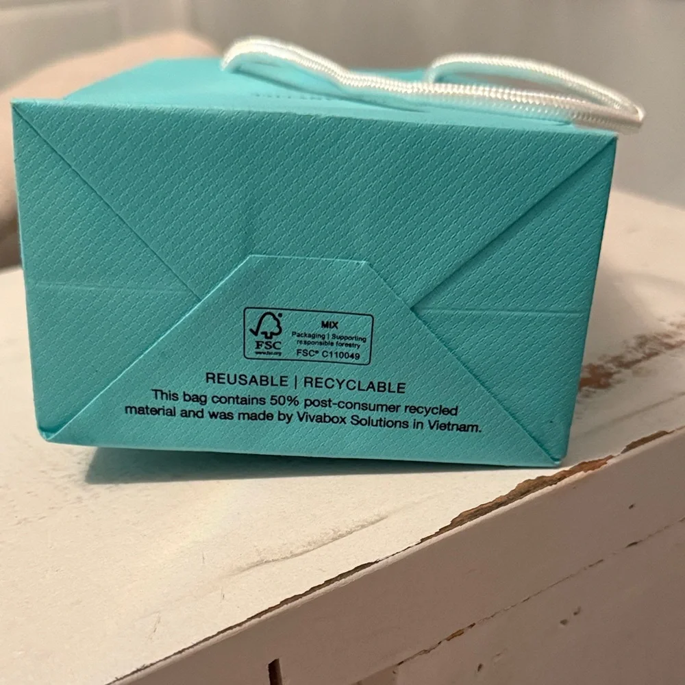 Tiffany & Co. Turquoise Shopping Bag only - Picture 5 of 6